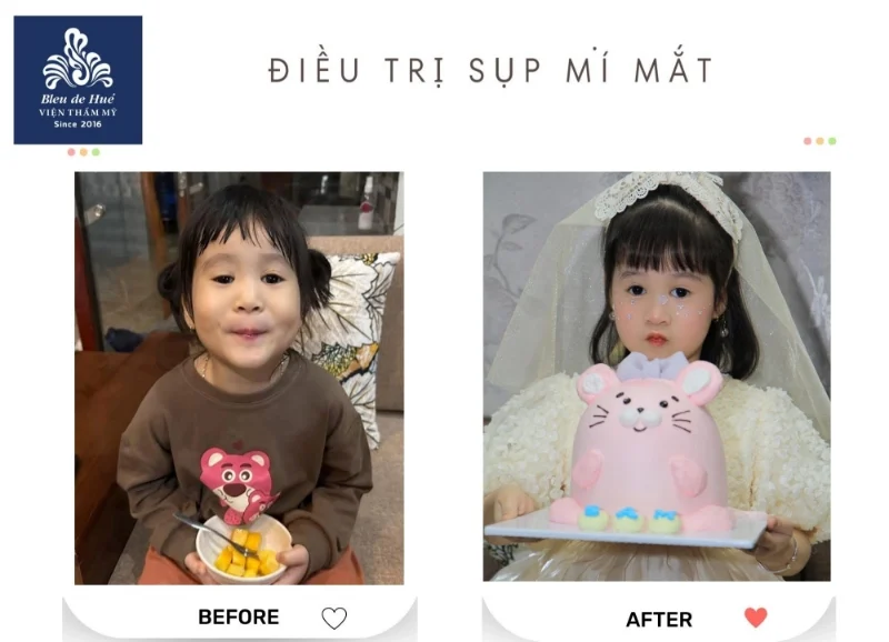 Cat mi mat