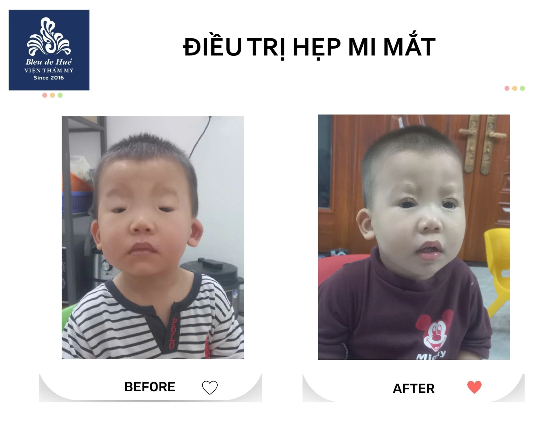 Cat mi mat